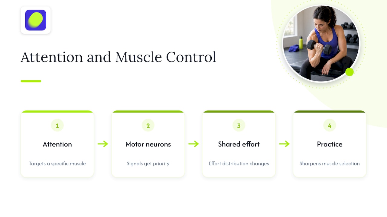 How attention influences muscle activation