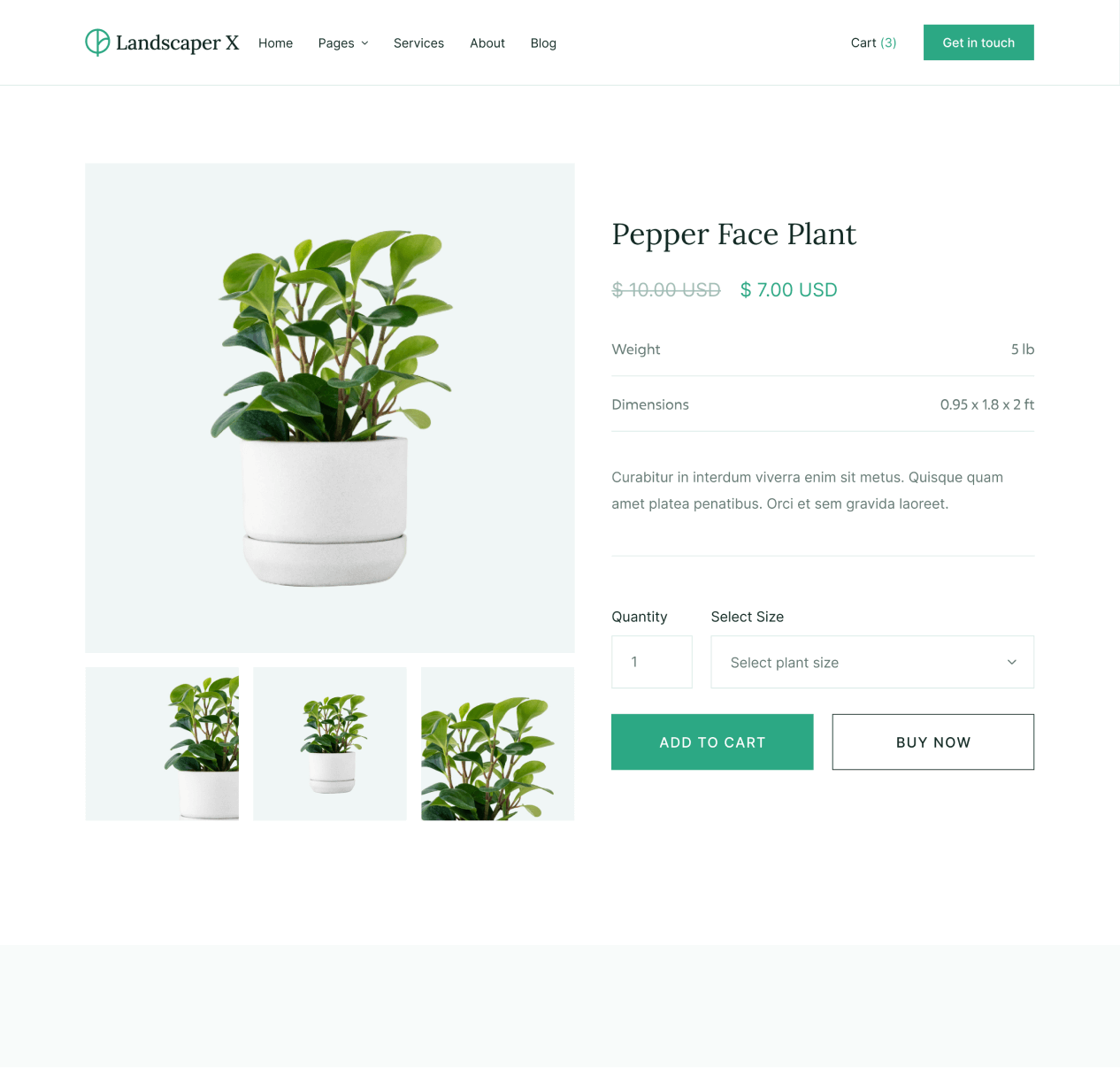 Landscaper X - Shop Single page - Landscaper Webflow Template