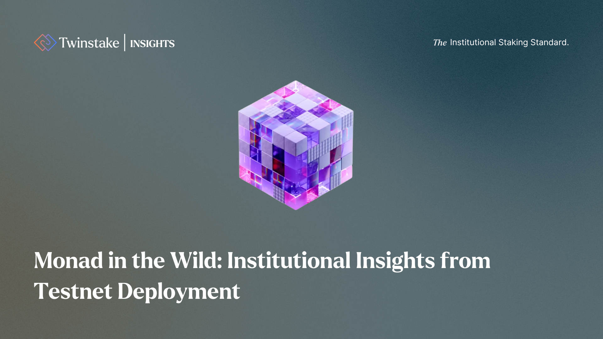 Monad testnet (88) 사진