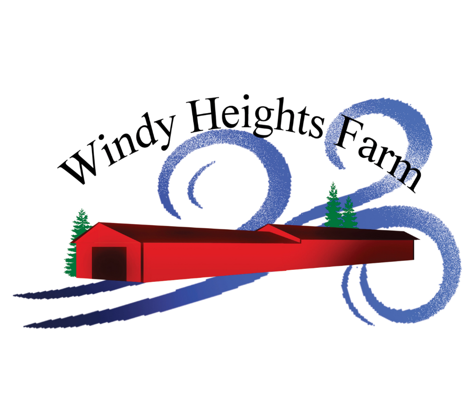 Wooden house models arranged on a map as part of a participatory workshop