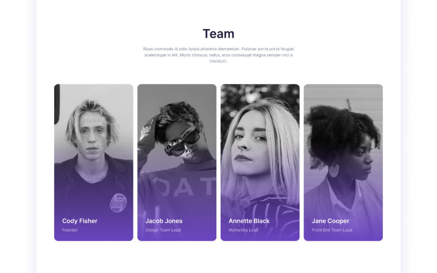 Webflow SaaS HTML Template Busiland