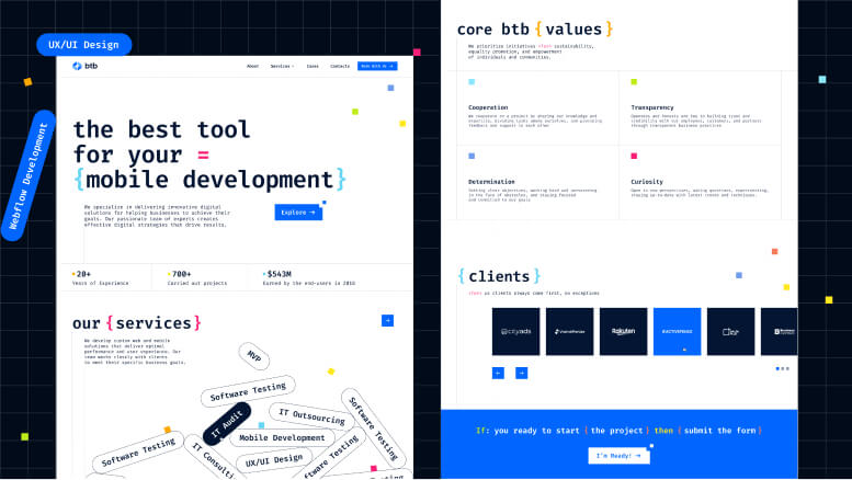 software development company website design