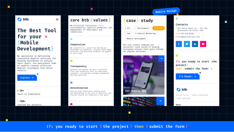software development company website design