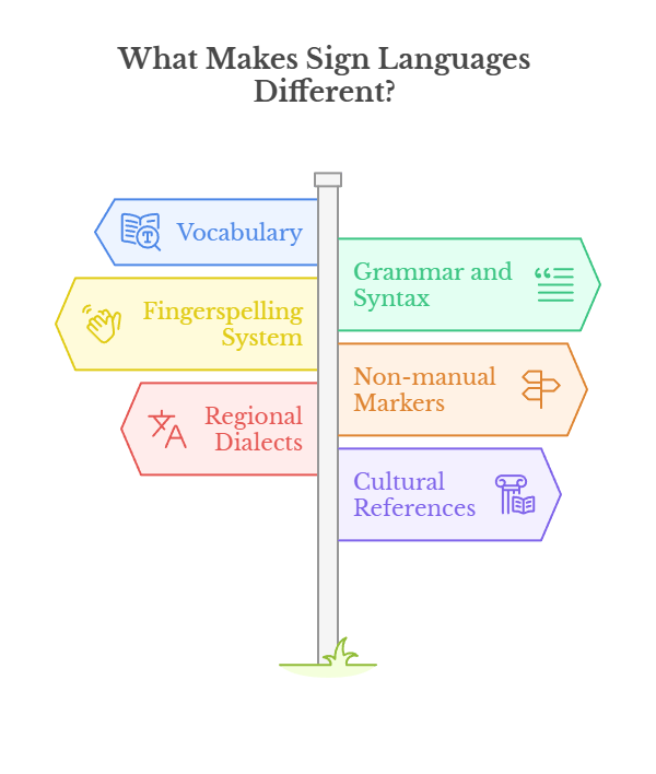 An infographic that illustrates what makes sign languages different