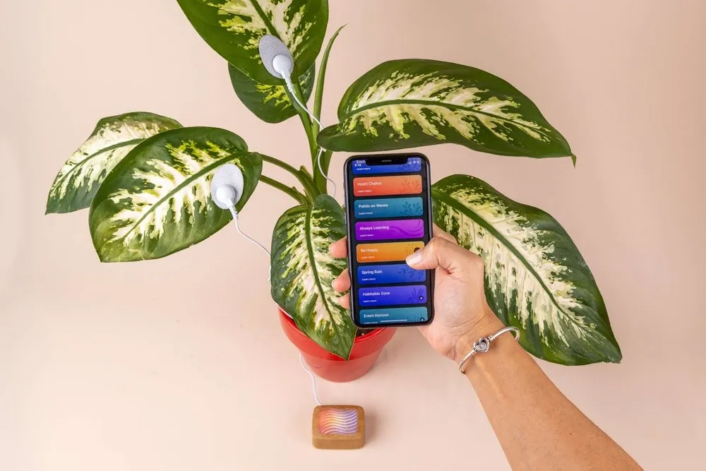 Urządzenie PlantWave przy roślinie