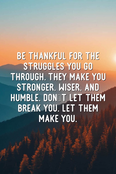 Be thankful for the struggles you go through. They make you stronger, wiser, and humble. Don't let them break you. Let them make you.