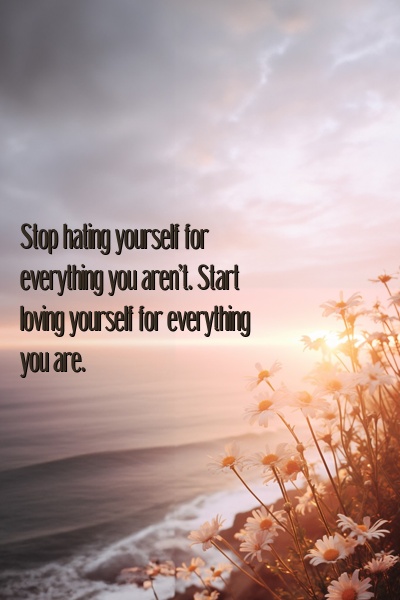 Stop hating yourself for everything you aren't. Start loving yourself for everything you are.
