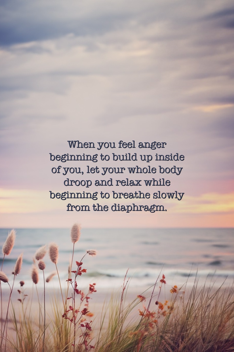 When you feel anger beginning to build up inside of you, let your whole body droop and relax while beginning to breathe slowly from the diaphragm.