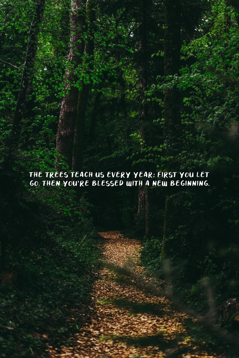 fall quotes