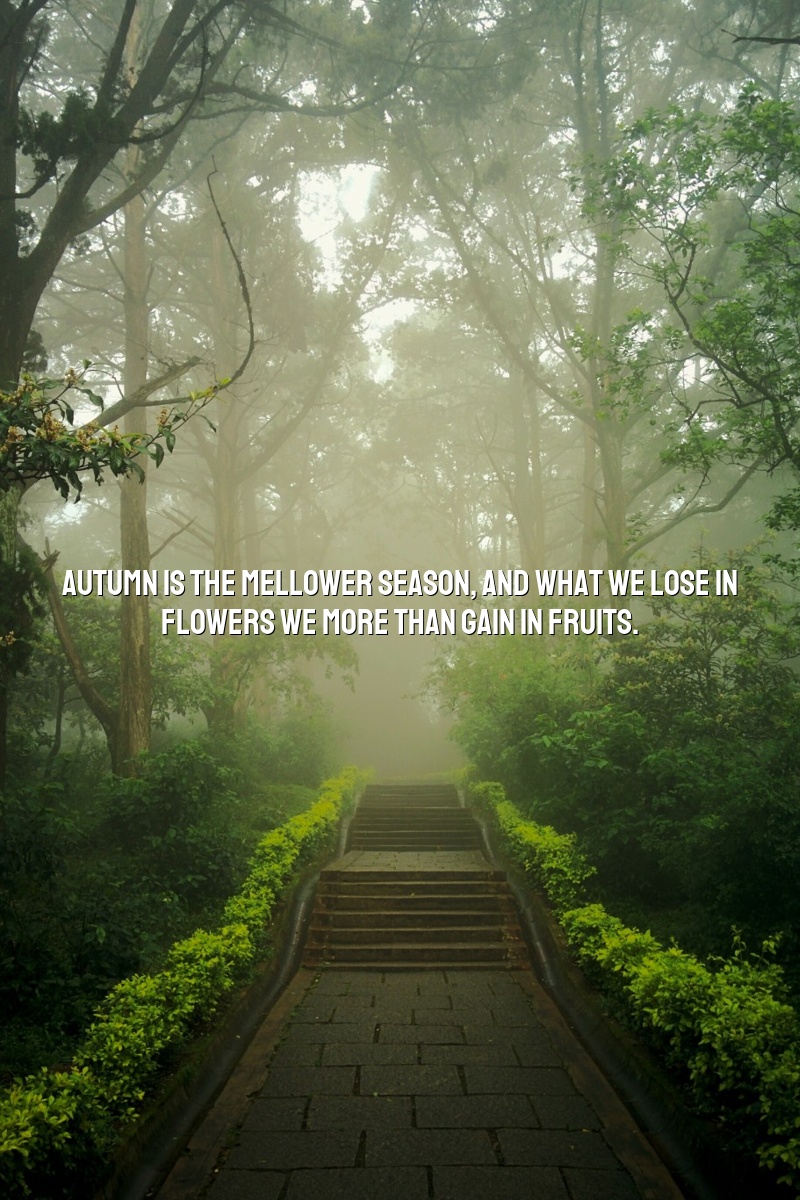 fall quotes