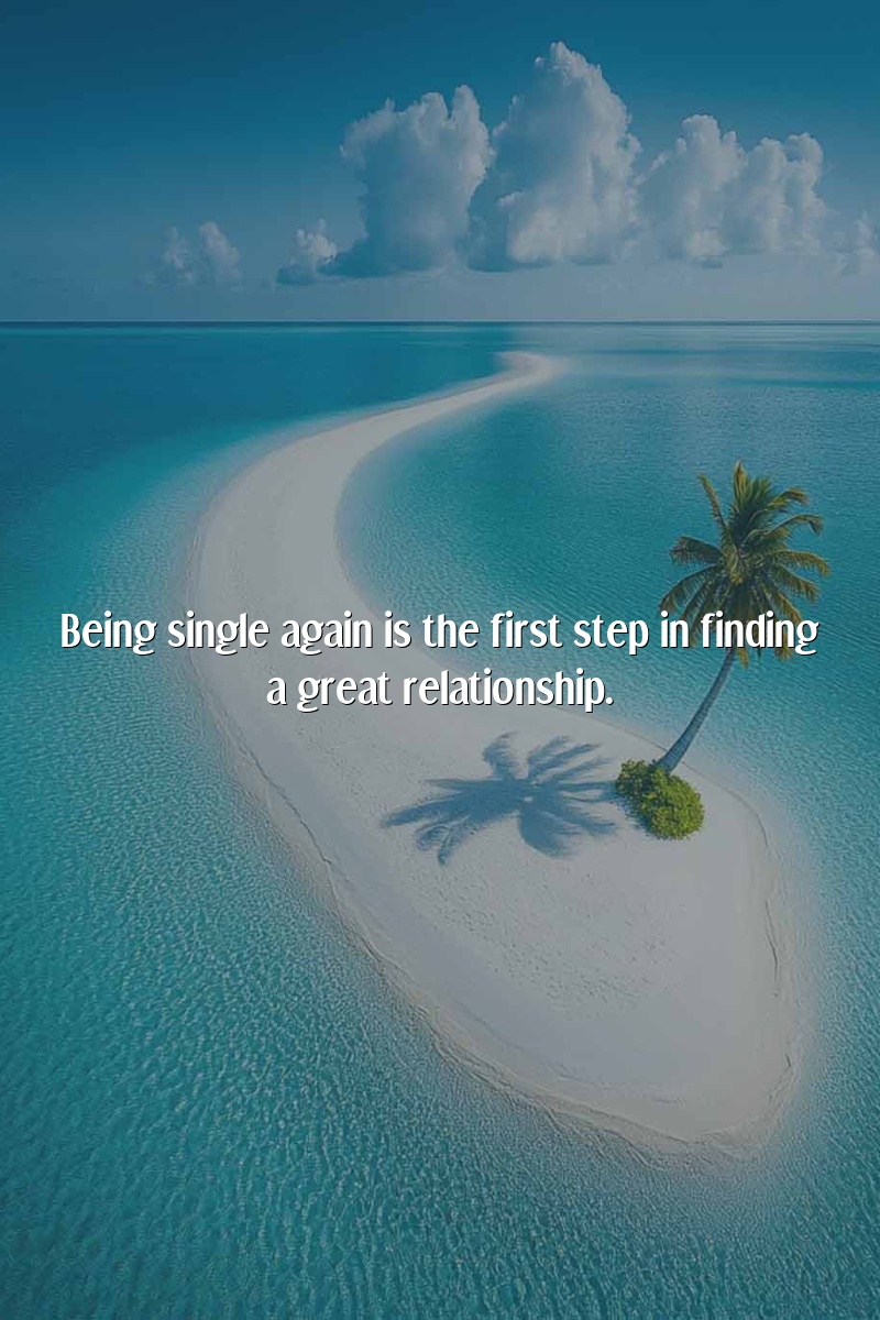 Being single again is the first step in finding a great relationship.