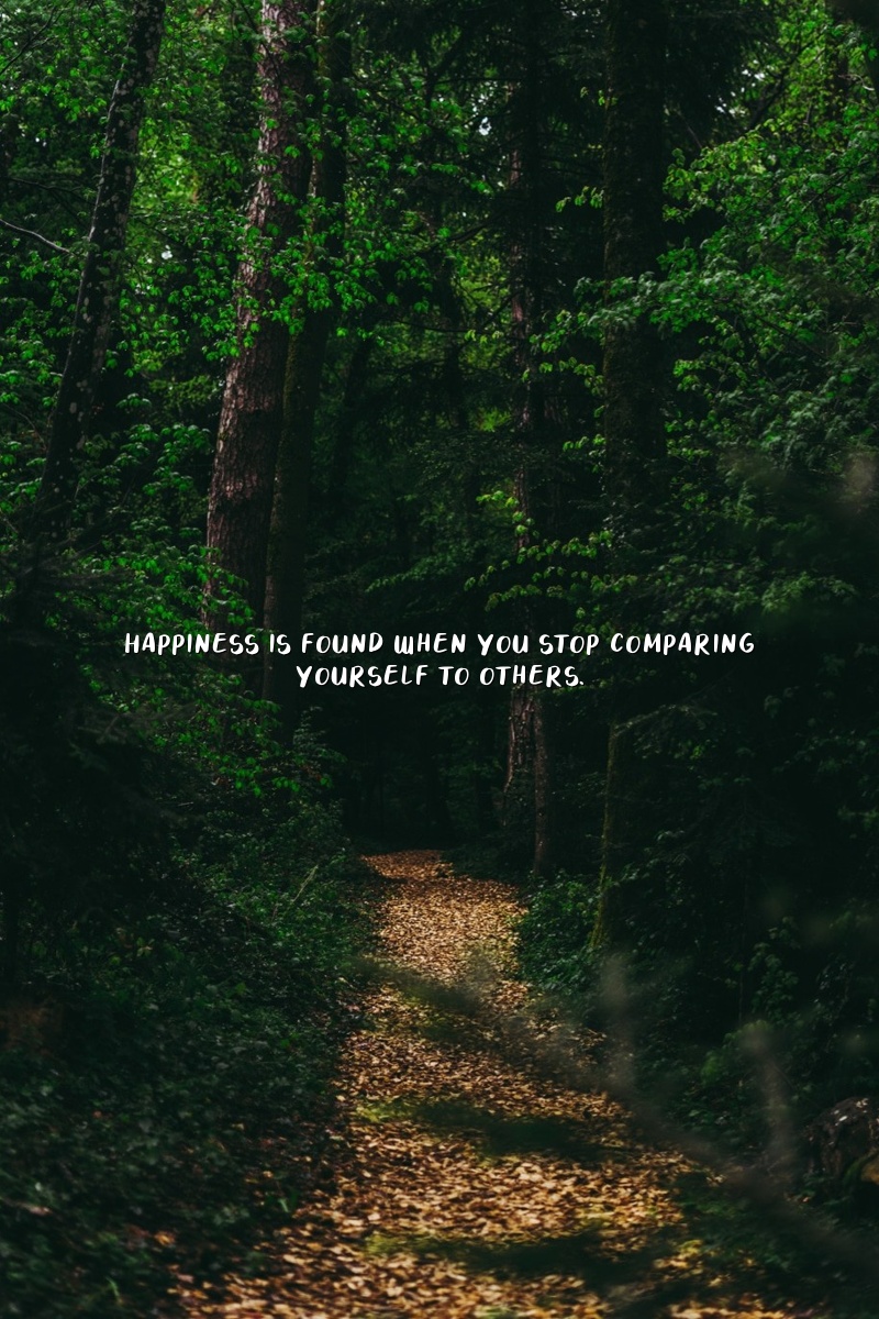 Happiness is found when you stop comparing yourself to others.