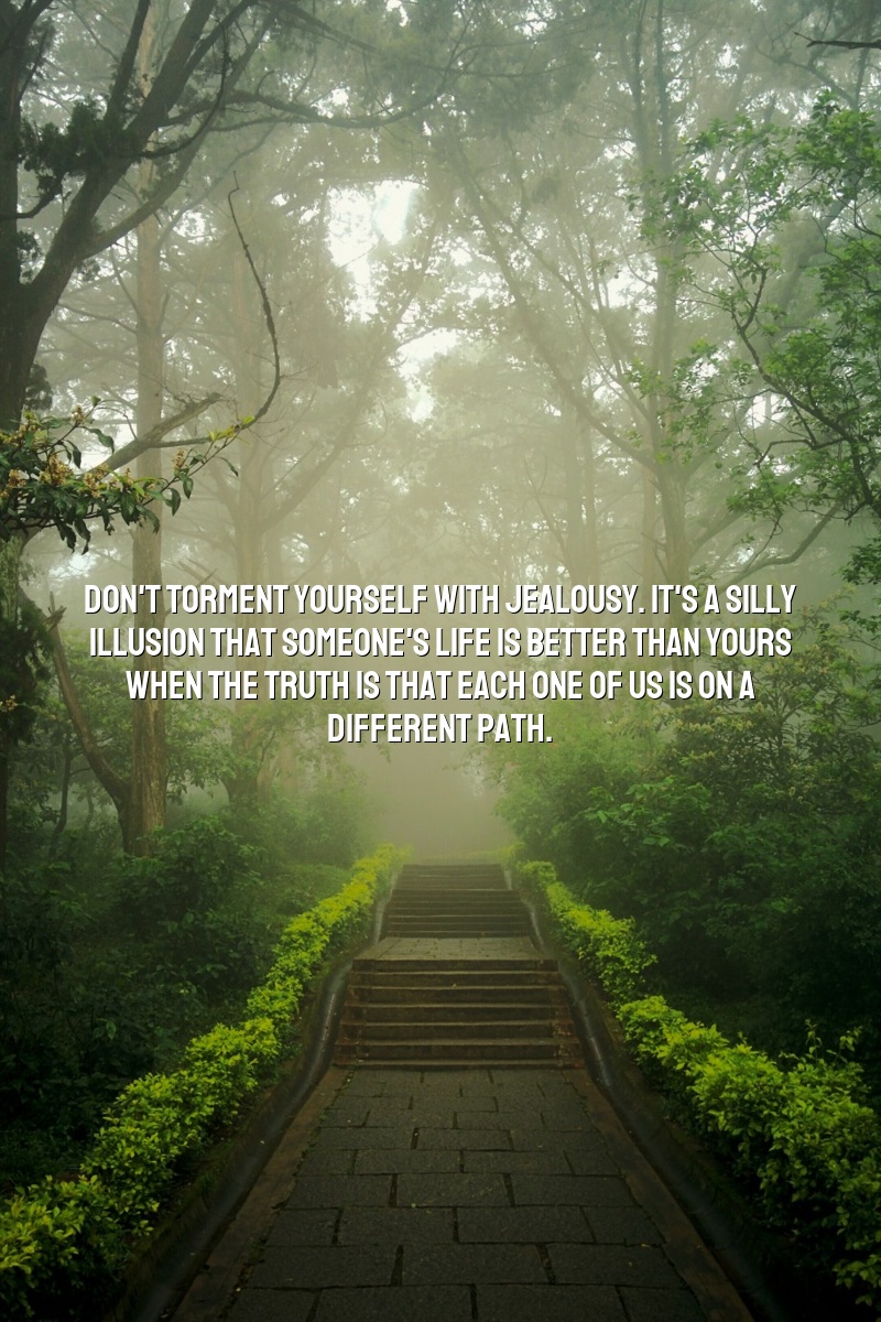 Don't torment yourself with jealousy. It's a silly illusion that someone's life is better than yours when the truth is that each one of us is on a different path.