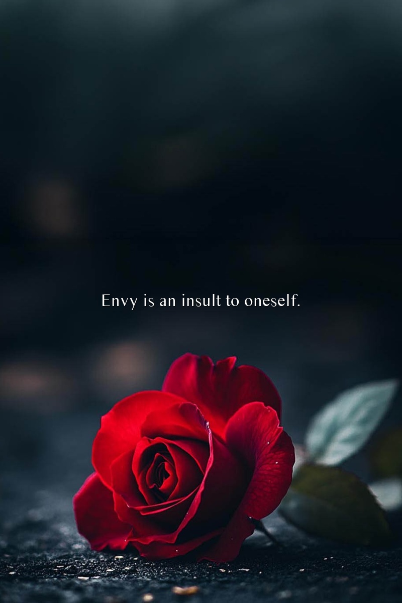 Envy is an insult to oneself.