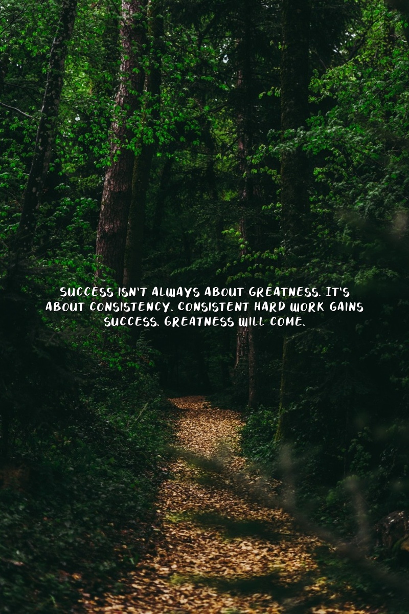 Success isn't always about greatness. It's about consistency. Consistent hard work gains success. Greatness will come.