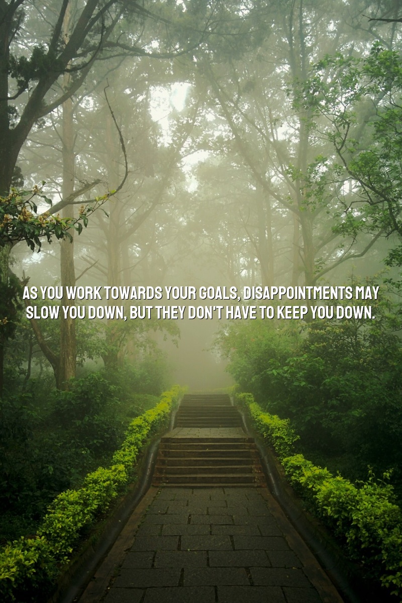 As you work towards your goals, disappointments may slow you down, but they don't have to keep you down.