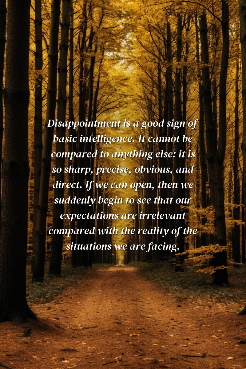 Disappointment is a good sign of basic intelligence. It cannot be compared to anything else: it is so sharp, precise, obvious, and direct. If we can open, then we suddenly begin to see that our expectations are irrelevant compared with the reality of the situations we are facing.