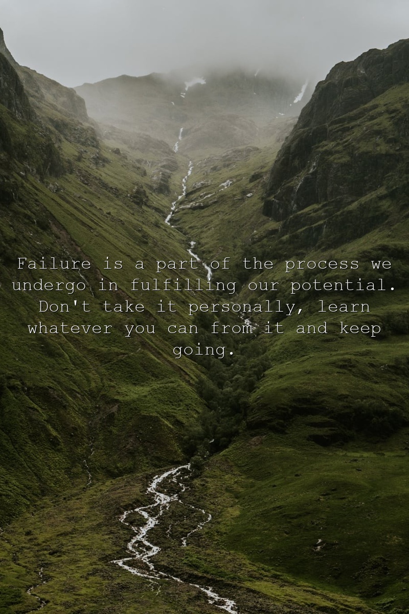 Failure is a part of the process we undergo in fulfilling our potential. Don't take it personally, learn whatever you can from it and keep going.