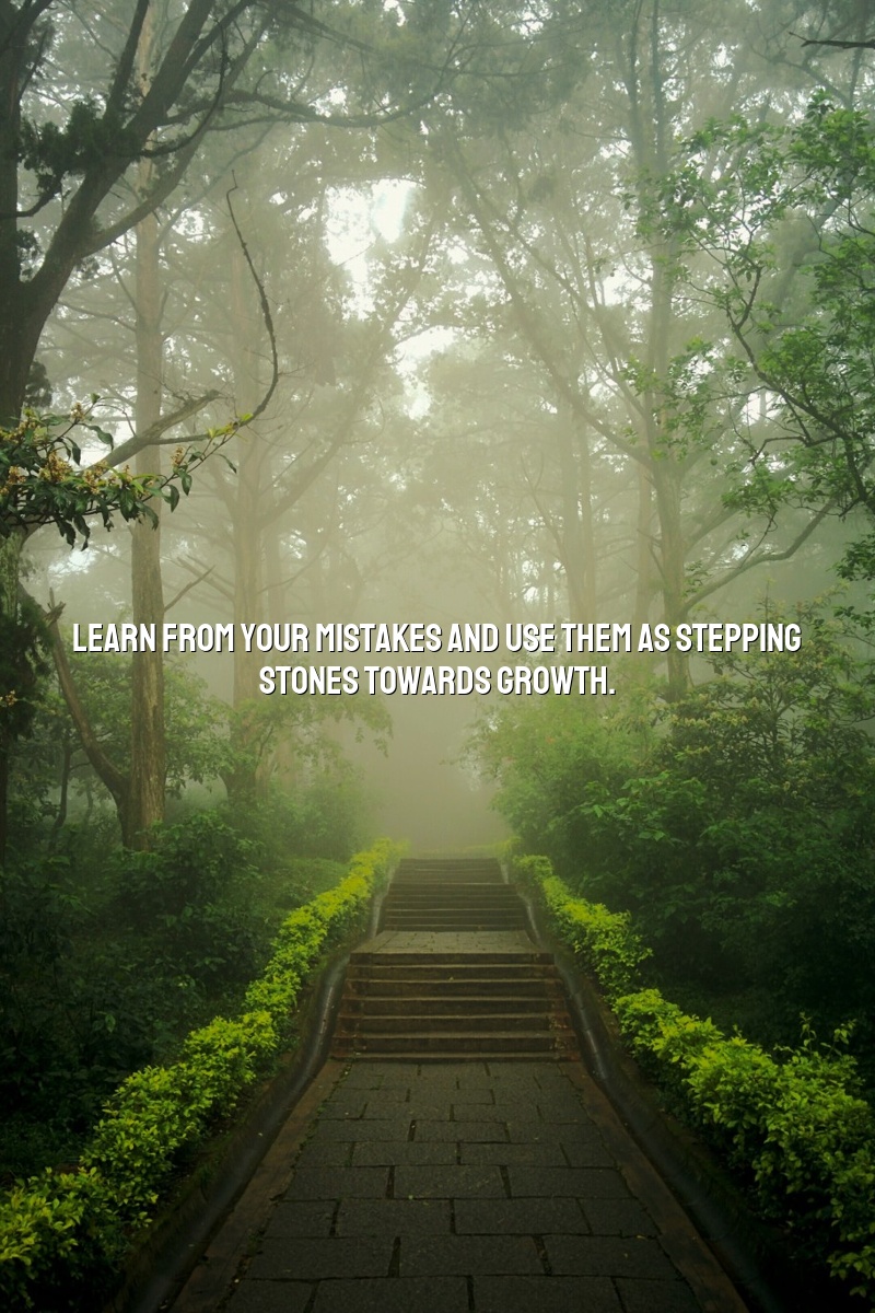 Learn from your mistakes and use them as stepping stones towards growth.