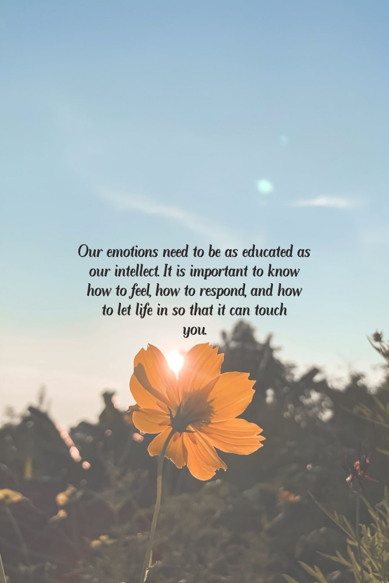 Our emotions need to be as educated as our intellect. It is important to know how to feel, how to respond, and how to let life in so that it can touch you.