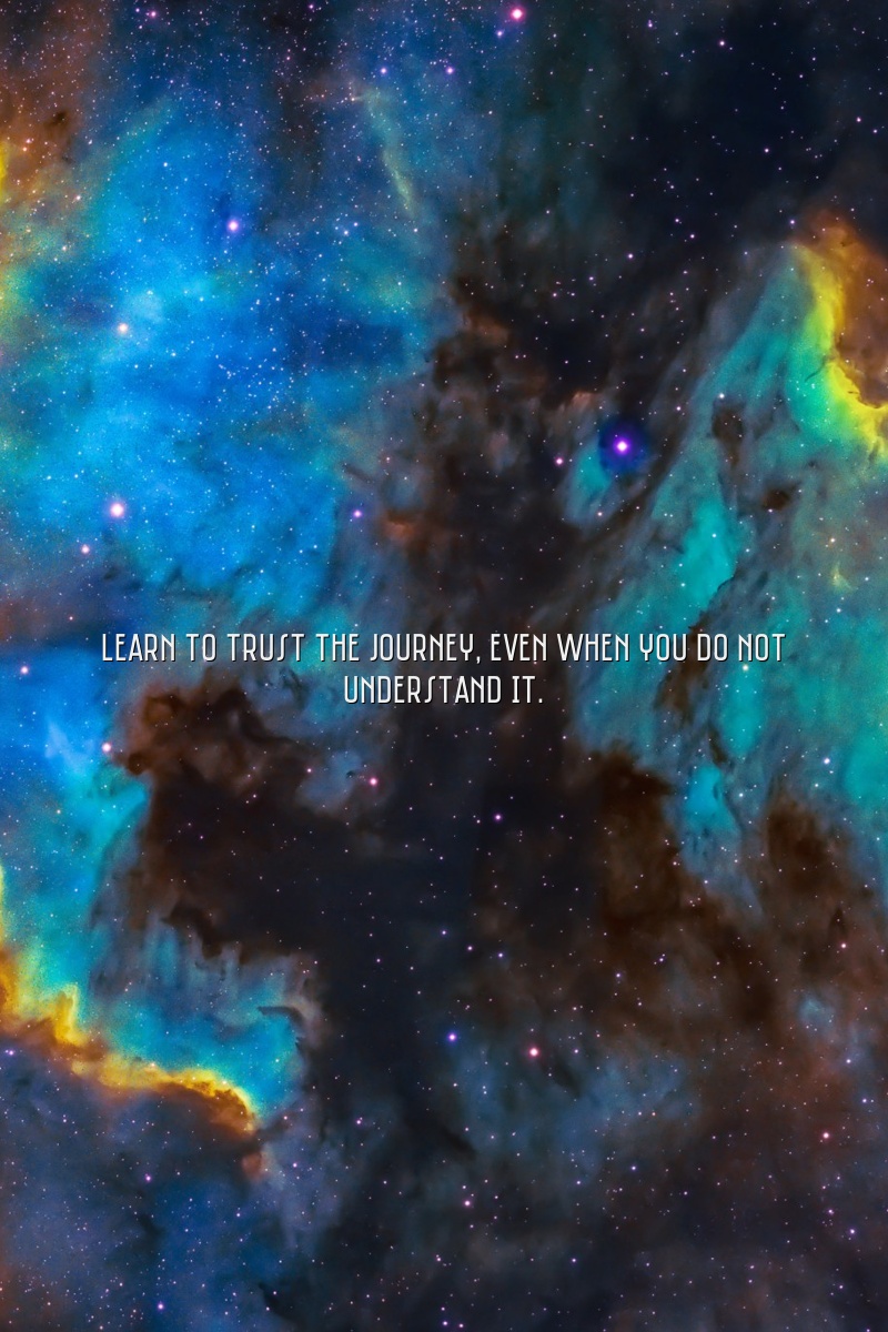 Learn to trust the journey, even when you do not understand it.