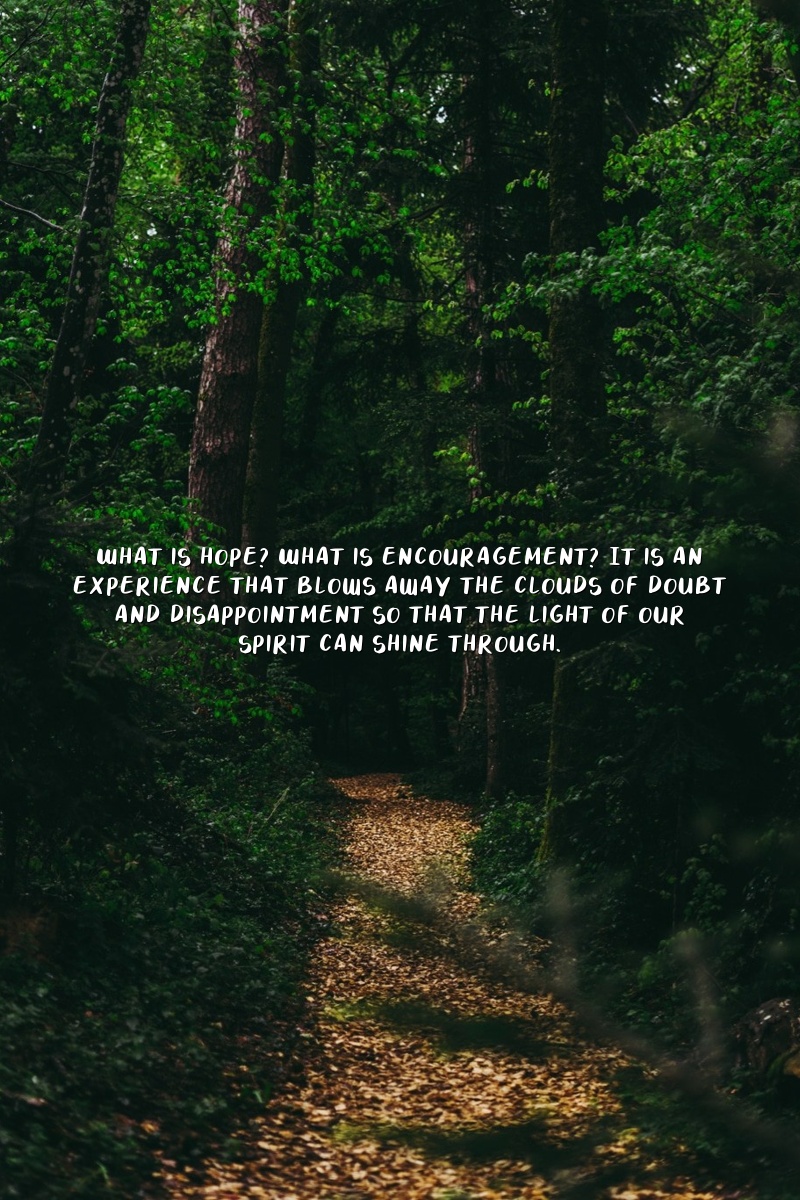 What is hope? What is encouragement? It is an experience that blows away the clouds of doubt and disappointment so that the light of our spirit can shine through.