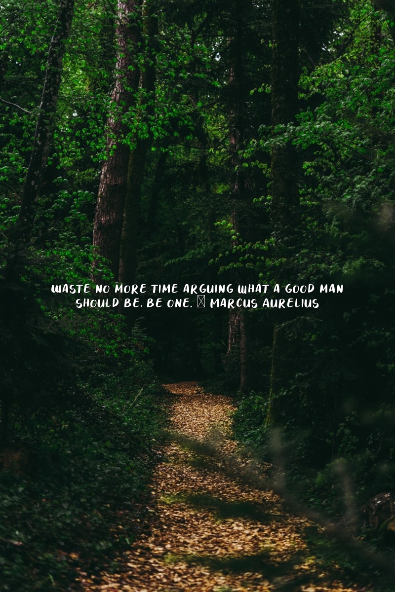 marcus aurelius quotes