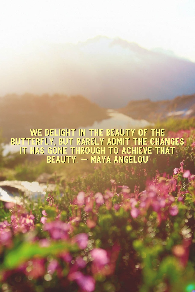 maya angelou quotes