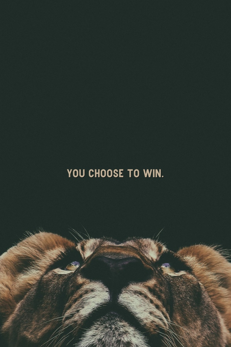 You choose to win.