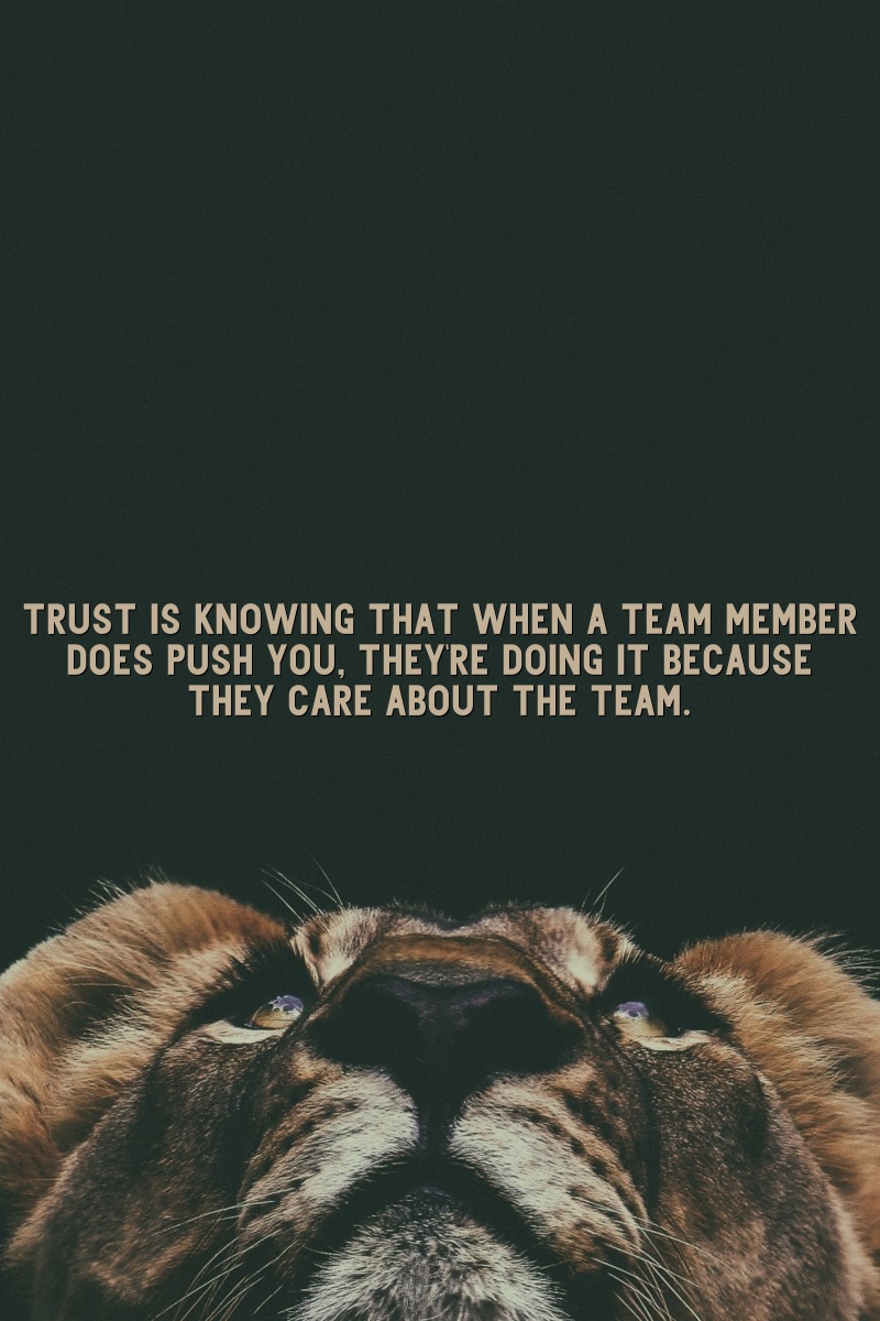 Trust is knowing that when a team member does push you, they're doing it because they care about the team.
