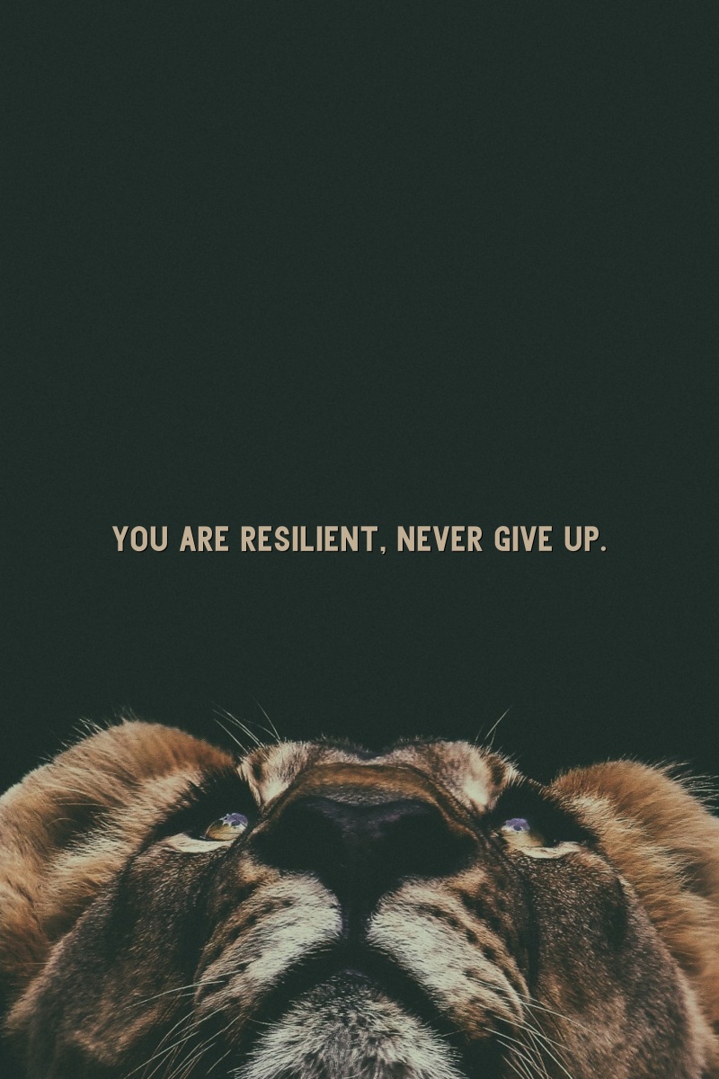 You are resilient, never give up.