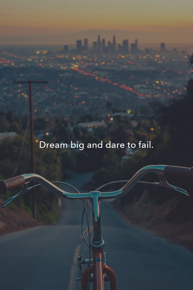 Dream big and dare to fail.