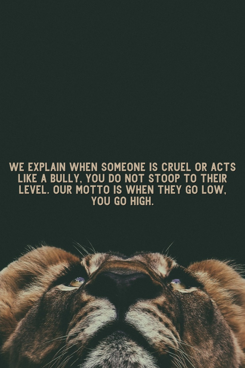 We explain when someone is cruel or acts like a bully, you do not stoop to their level. Our motto is when they go low, you go high.