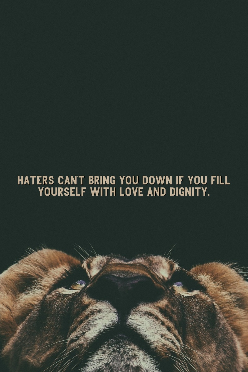 Haters can't bring you down if you fill yourself with love and dignity.