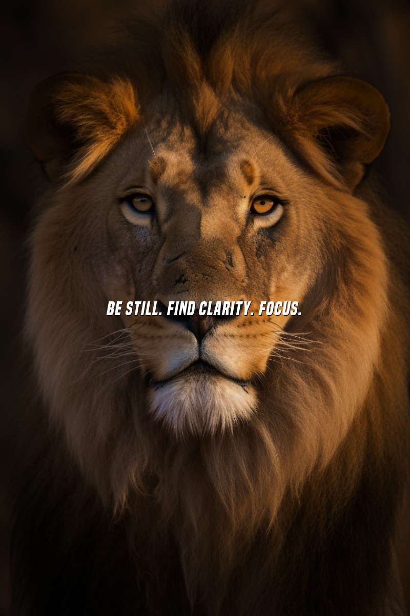 Be still. Find clarity. Focus.