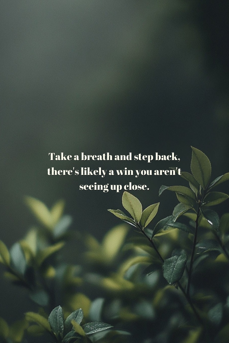 Take a breath and step back, there's likely a win you aren't seeing up close.