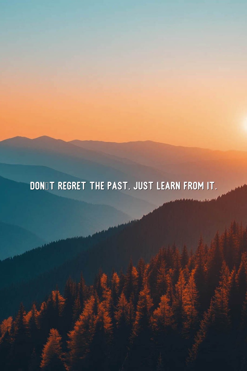 Don't regret the past, just learn from it.