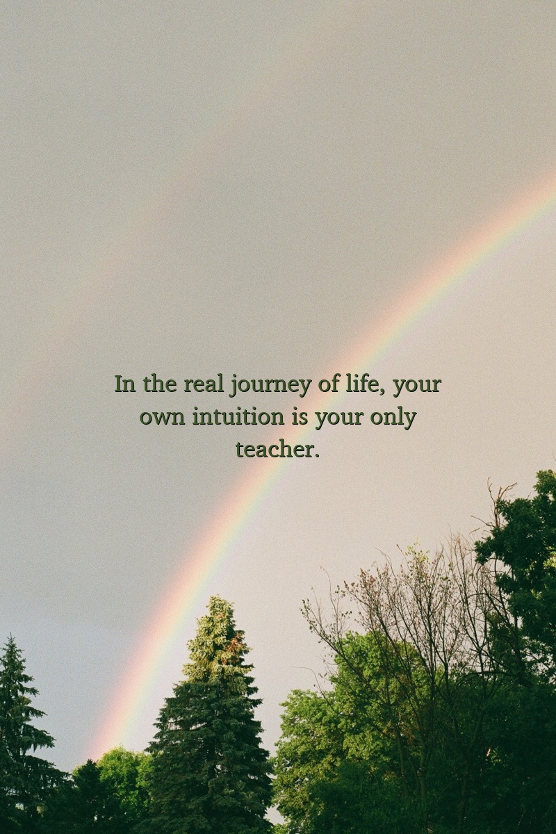 In the real journey of life, your own intuition is your only teacher.