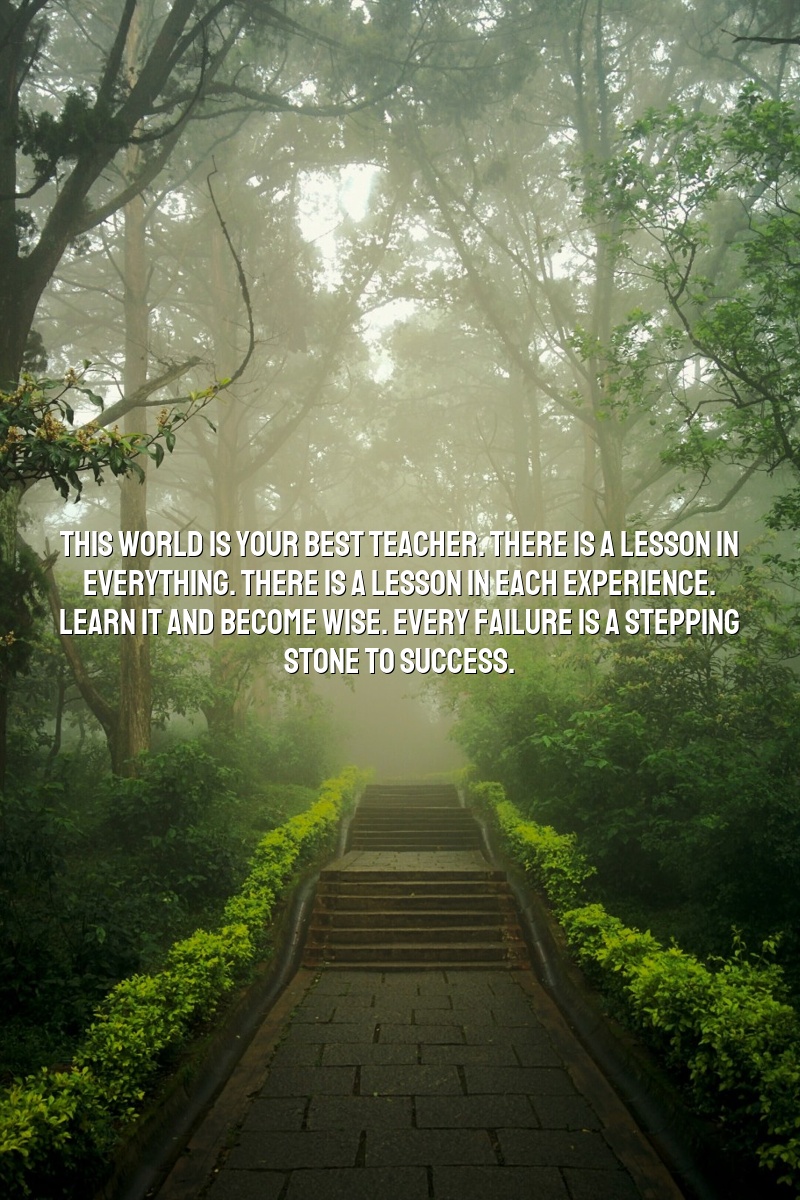 This world is your best teacher. There is a lesson in everything. There is a lesson in each experience. Learn it and become wise. Every failure is a stepping stone to success.