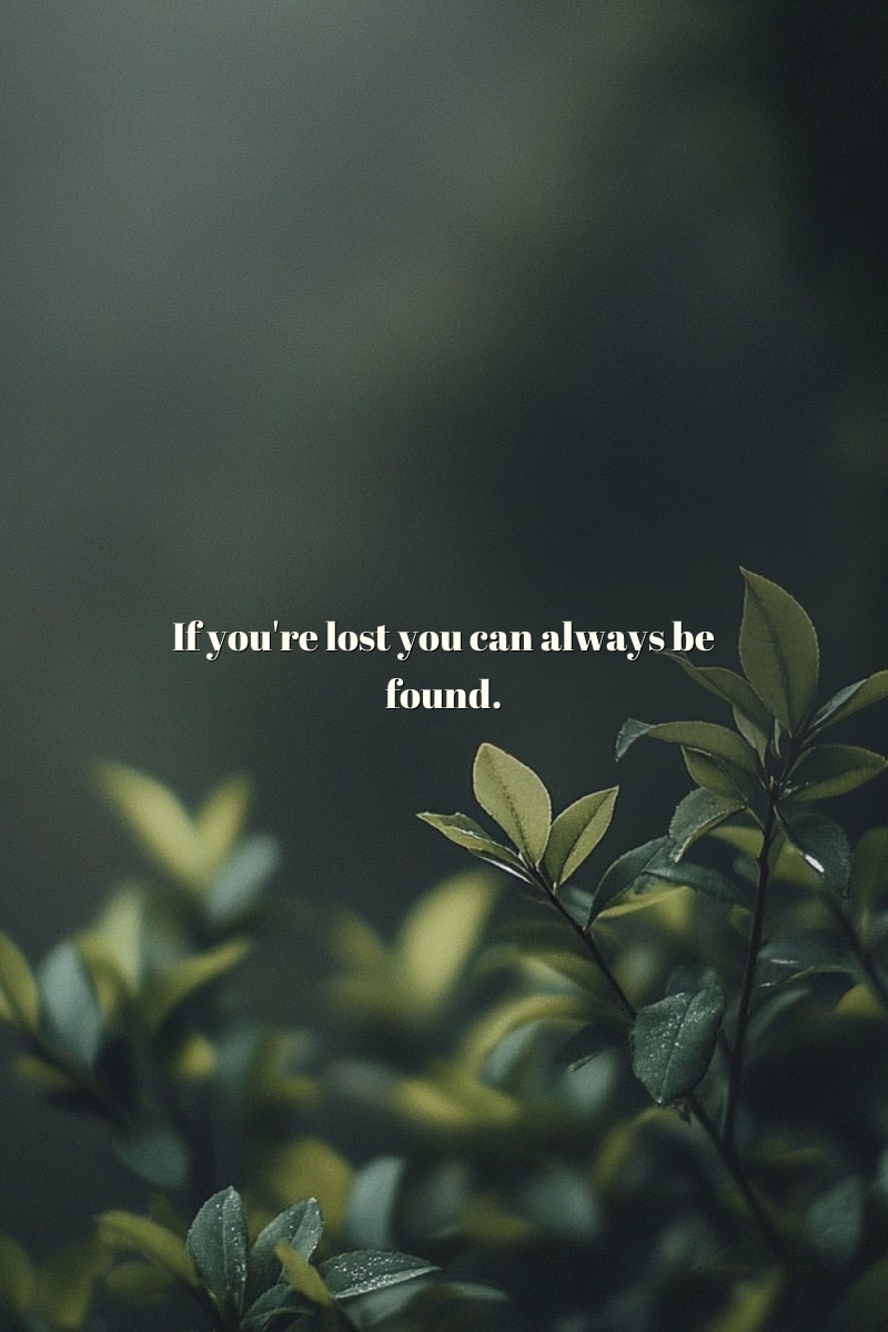 If you're lost you can always be found.