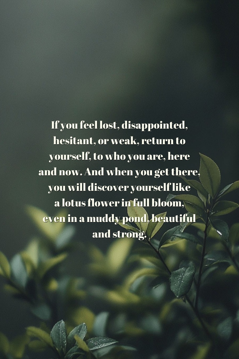 If you feel lost, disappointed, hesitant, or weak, return to yourself, to who you are, here and now. And when you get there, you will discover yourself like a lotus flower in full bloom, even in a muddy pond, beautiful and strong.