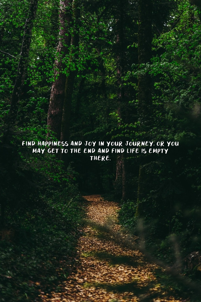 Find happiness and joy in your journey, or you may get to the end and find life is empty there.