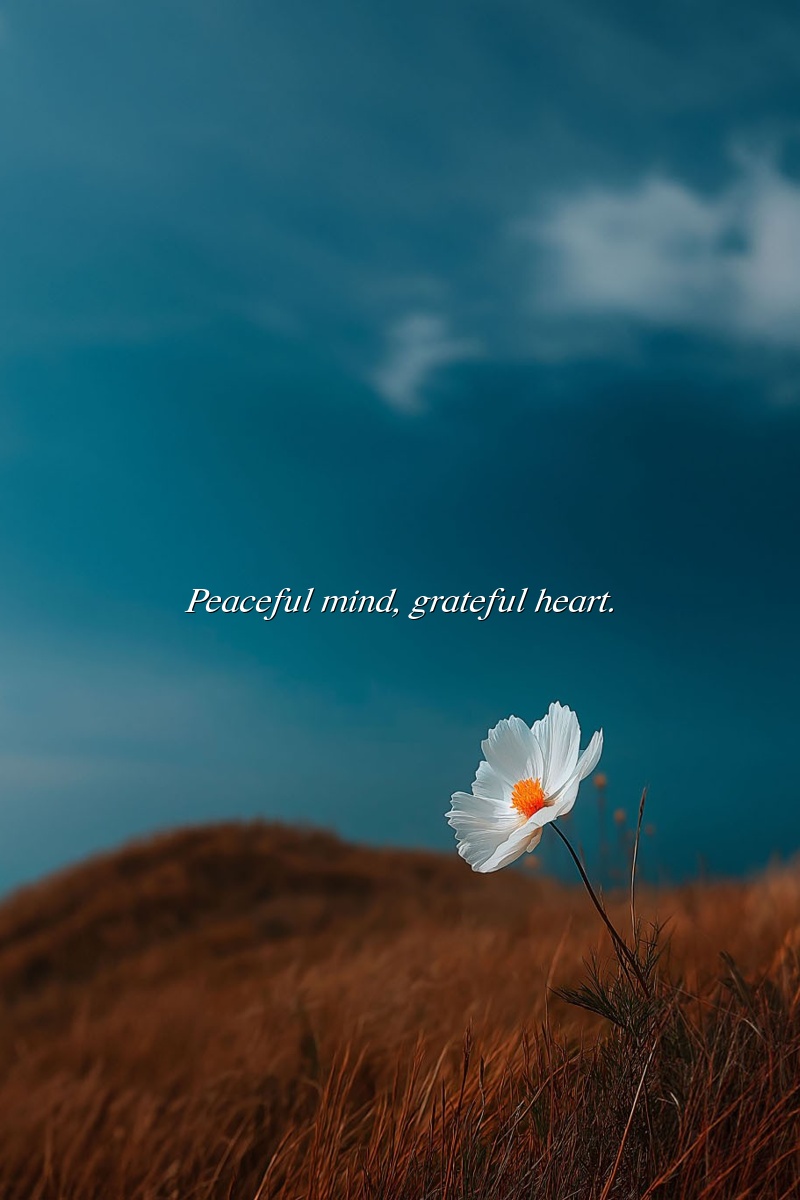 Peaceful mind, grateful heart.