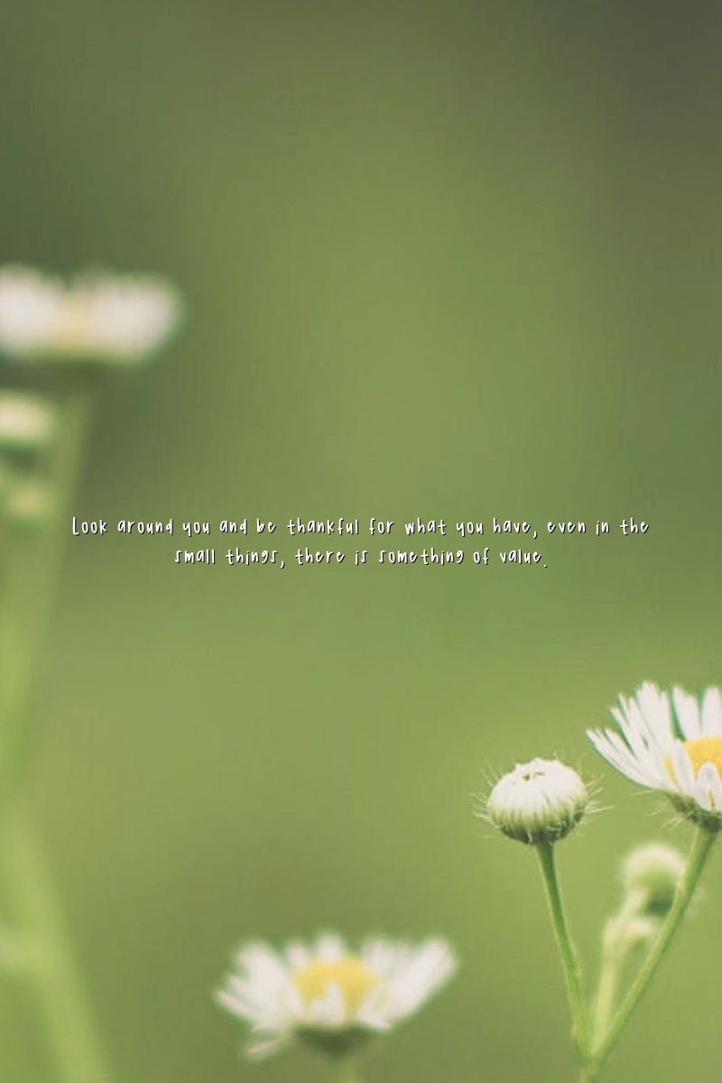 Look around you and be thankful for what you have, even in the small things, there is something of value.