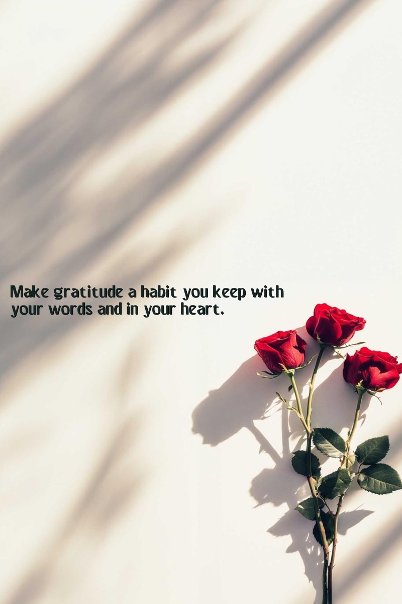 Make gratitude a habit you keep with your words and in your heart.