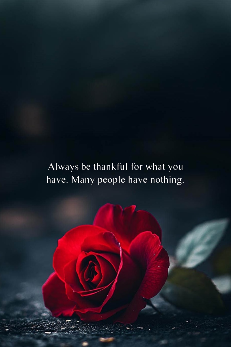 Always be thankful for what you have. Many people have nothing.