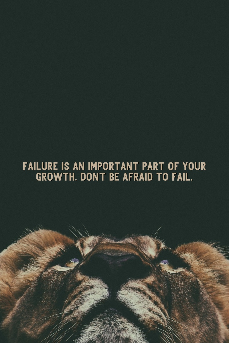 Failure is an important part of your growth. Don't be afraid to fail.
