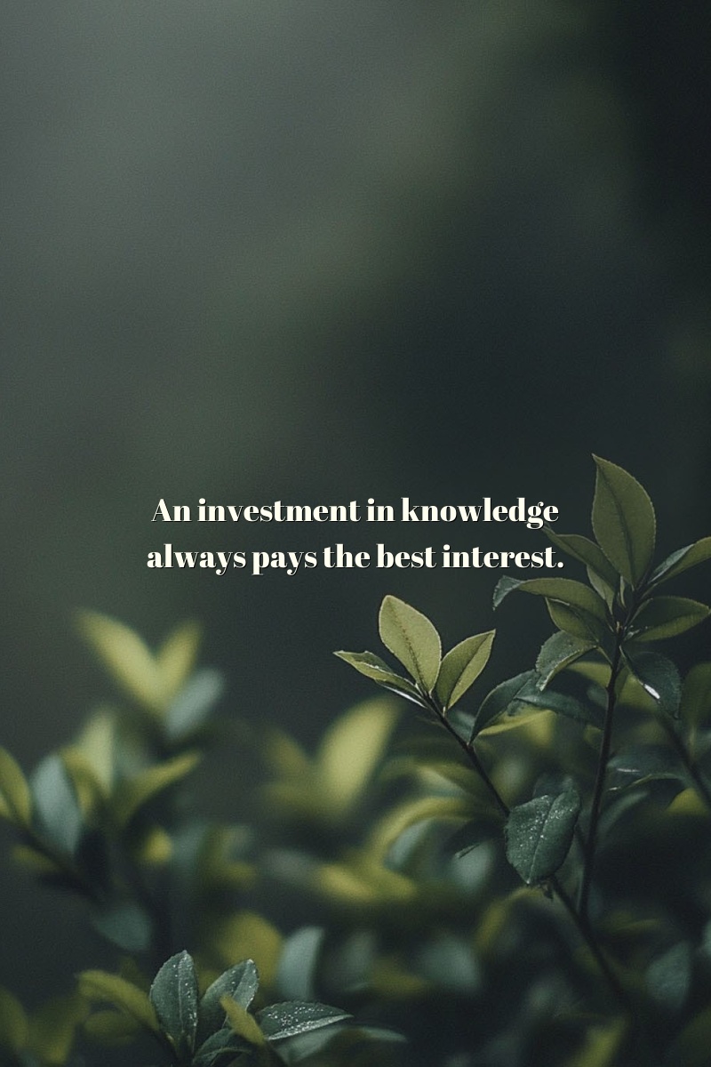 An investment in knowledge always pays the best interest.
