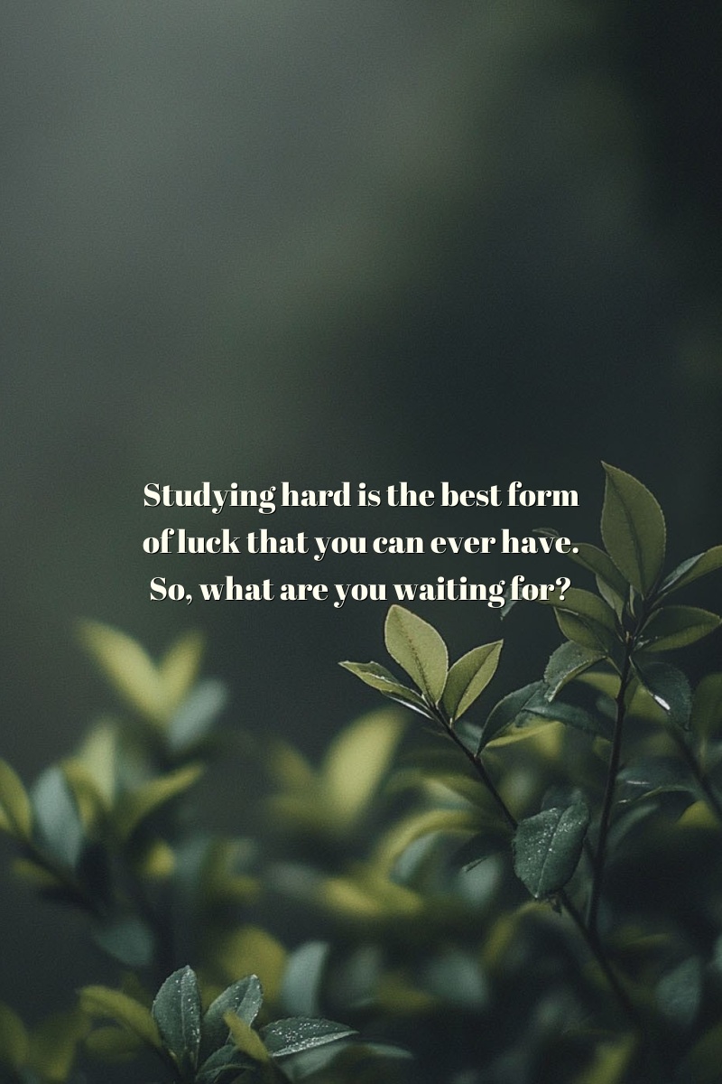 Studying hard is the best form of luck that you can ever have. So, what are you waiting for?