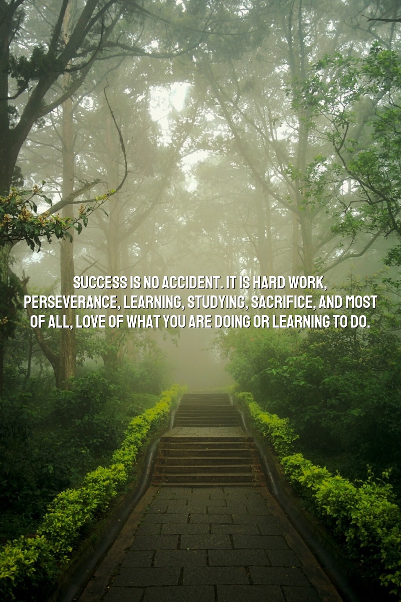 Success is no accident. It is hard work, perseverance, learning, studying, sacrifice, and most of all, love of what you are doing or learning to do.